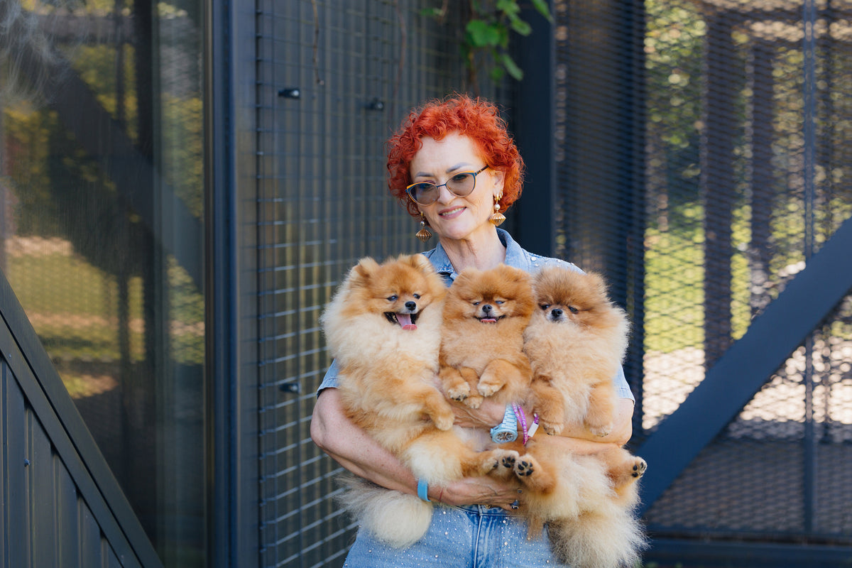 „Tauro Kennel“ čempionas parodų ringe