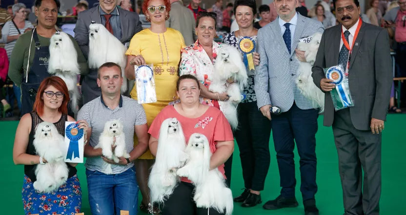 World Dog Show 2023 Ženevoje · apdovanojimo akimirka